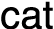 cat
