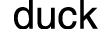 duck