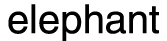 elephant
