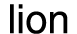 lion