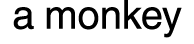 a monkey